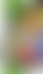 Faubourg St-Rock  - Soyez à la page !