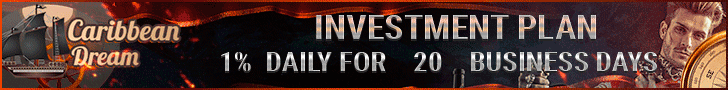 1% daily for 20 days, safe bitcoin hyip investment