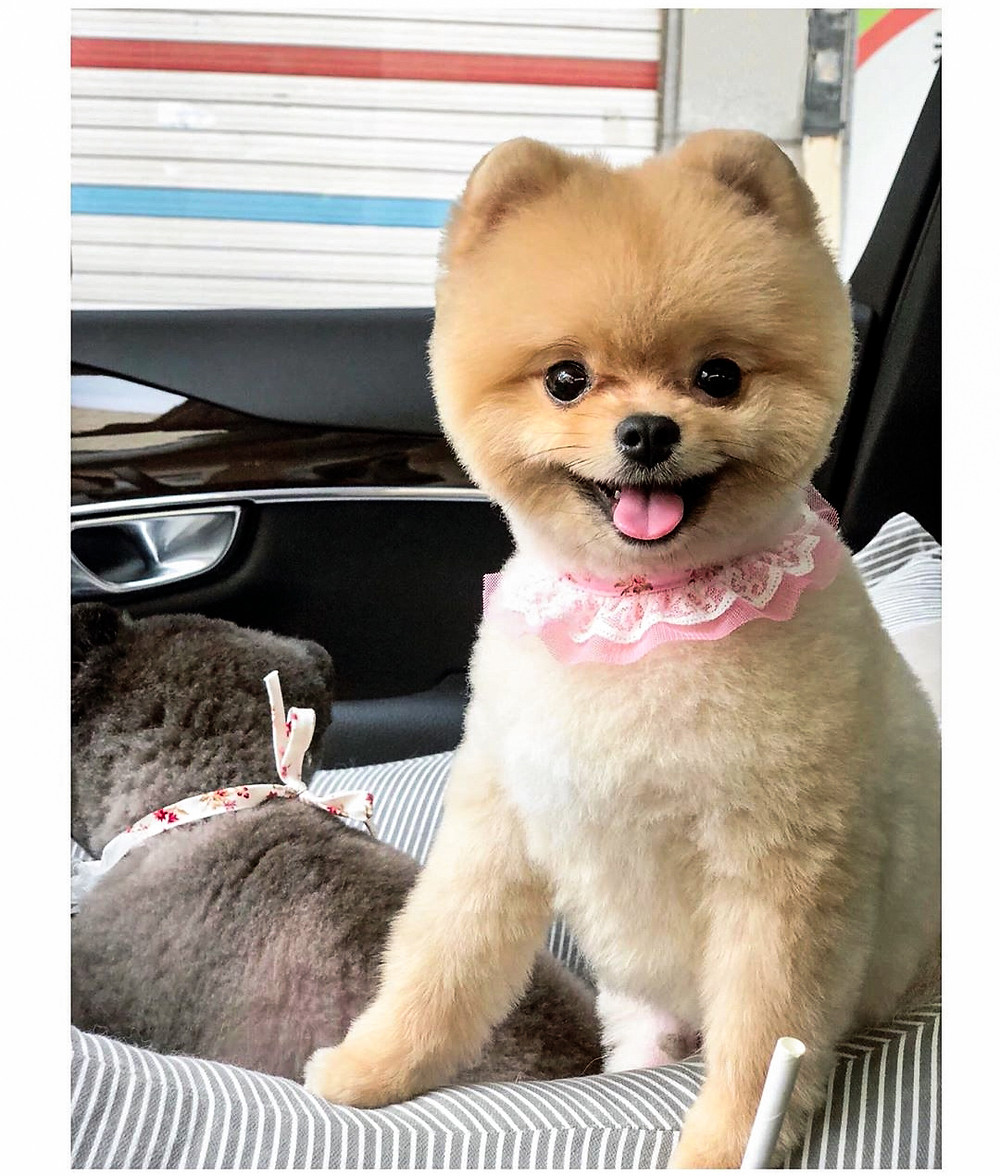@jjung_0527