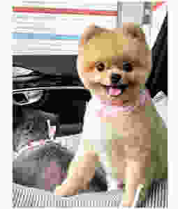 @jjung_0527
