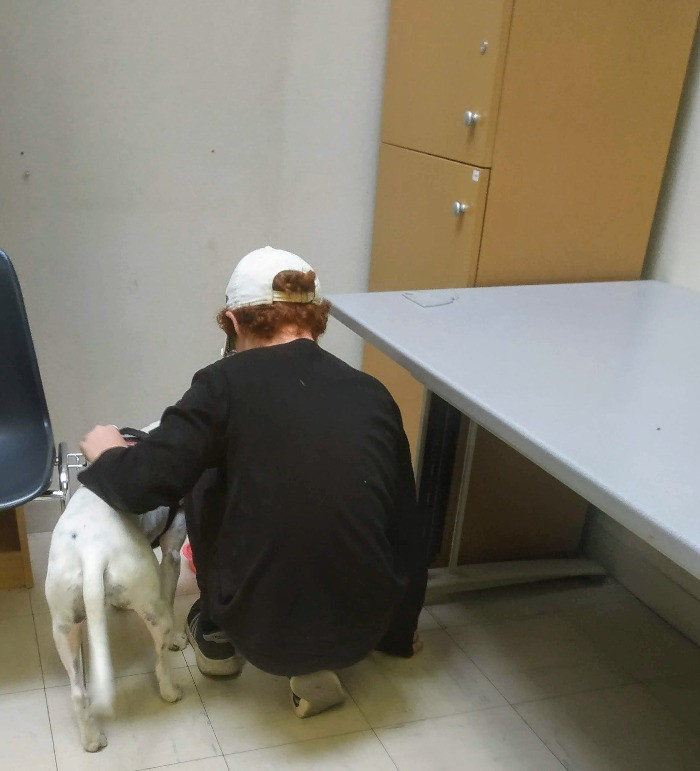 Mediation animale avec adolescent en difficulté