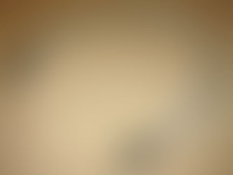 Virtual Dynamics Nite "R" Power