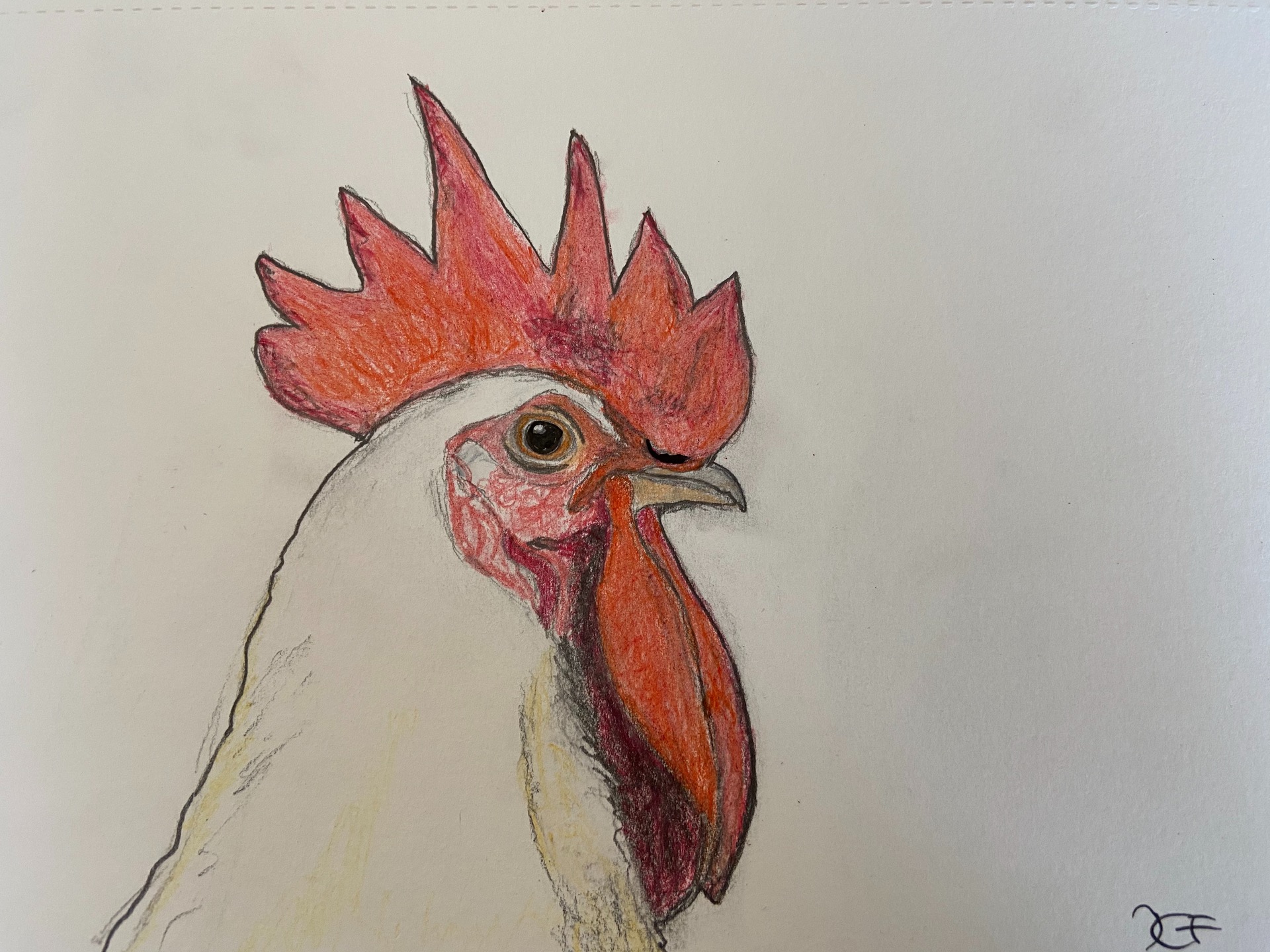 Meine erste Buntstiftzeichnung. content media