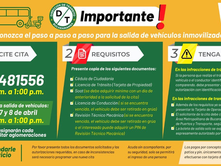Conozca el paso a paso para la salida de vehículos inmovilizados