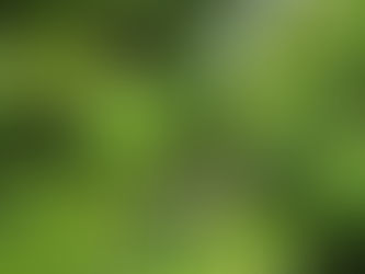 Fishing Story with a Twist