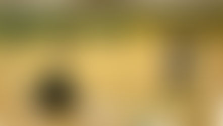 簡化24式動作 実戦法講座