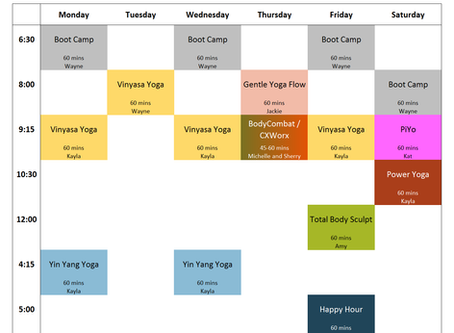 Virtual Classes Schedule, Week of 4/20