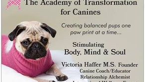 Meet the Sacred Rebel