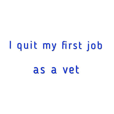 I Quit My First Job as a Vet