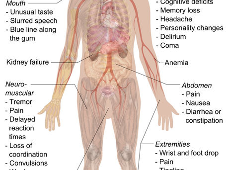 Lead Dangers to Men, Women and Children