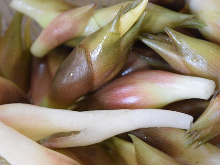 「主婦の敵セット」にミョウガを。