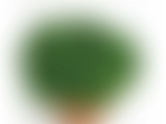 Que faire avec du persil ?