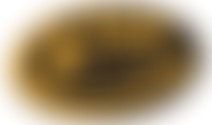 Viaje a Canarias para el equipo de Élite