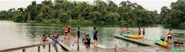 Jadescape is only 5 minutes to MacRitchie Reservoir