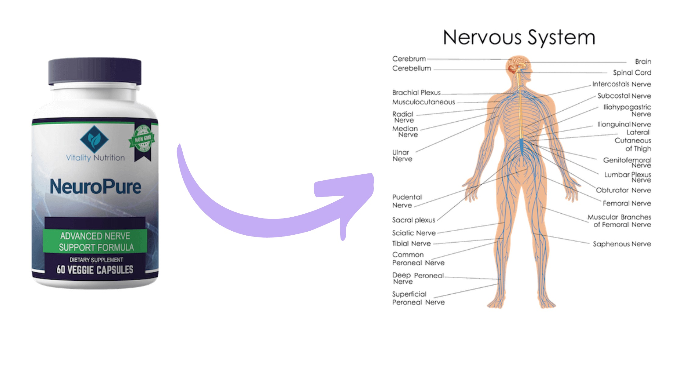 NeuroPure Price – Is NeuroPure Scam Or Legit – Official Website content media