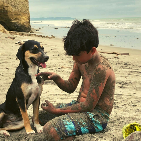 A la playa con mi hijo de 4 patas