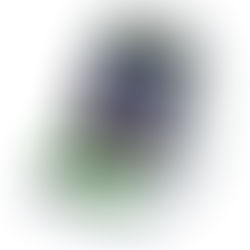Mix de Notícias – 07/07/20