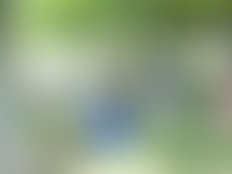 お外ヨガ Autumn 2018