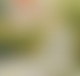 Strength For The Journey?