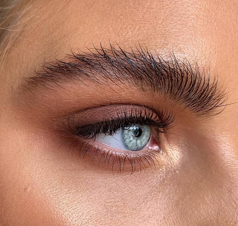 Bushy Brows, sobrancelhas selvagens maquiagem