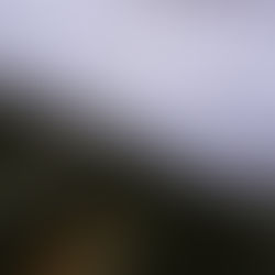 OBRAS AUTORAIS, COMO PROTEGER?