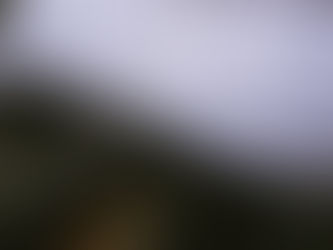 OBRAS AUTORAIS, COMO PROTEGER?