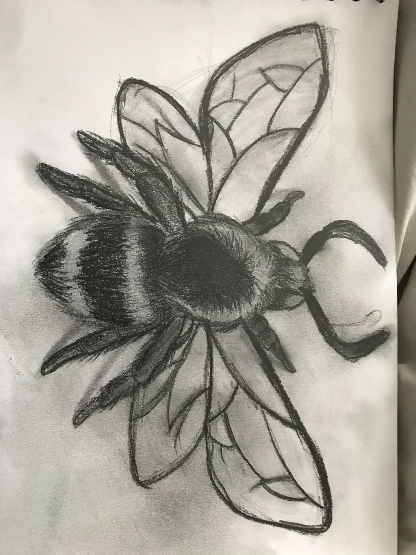 A bee for art 😊 content media