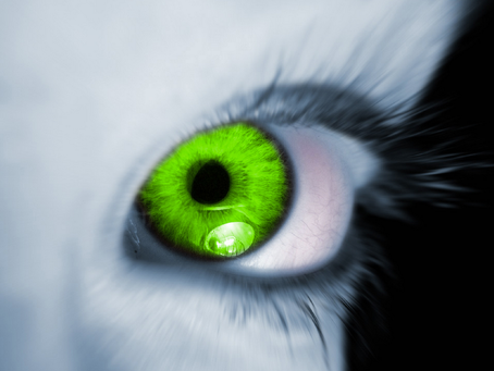 What is The Soul of Life?