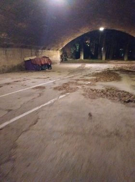 Bajo un Puente