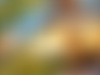 I can bet this will be the best Samosa dish you have ever tasted !!
