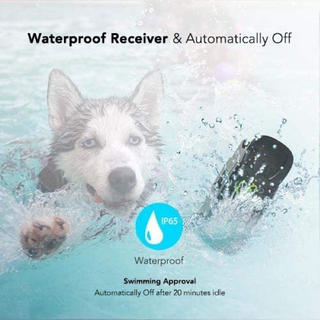 dog care training collar tc01