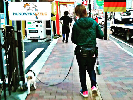 愛犬に優しいリードの使い方とは！？