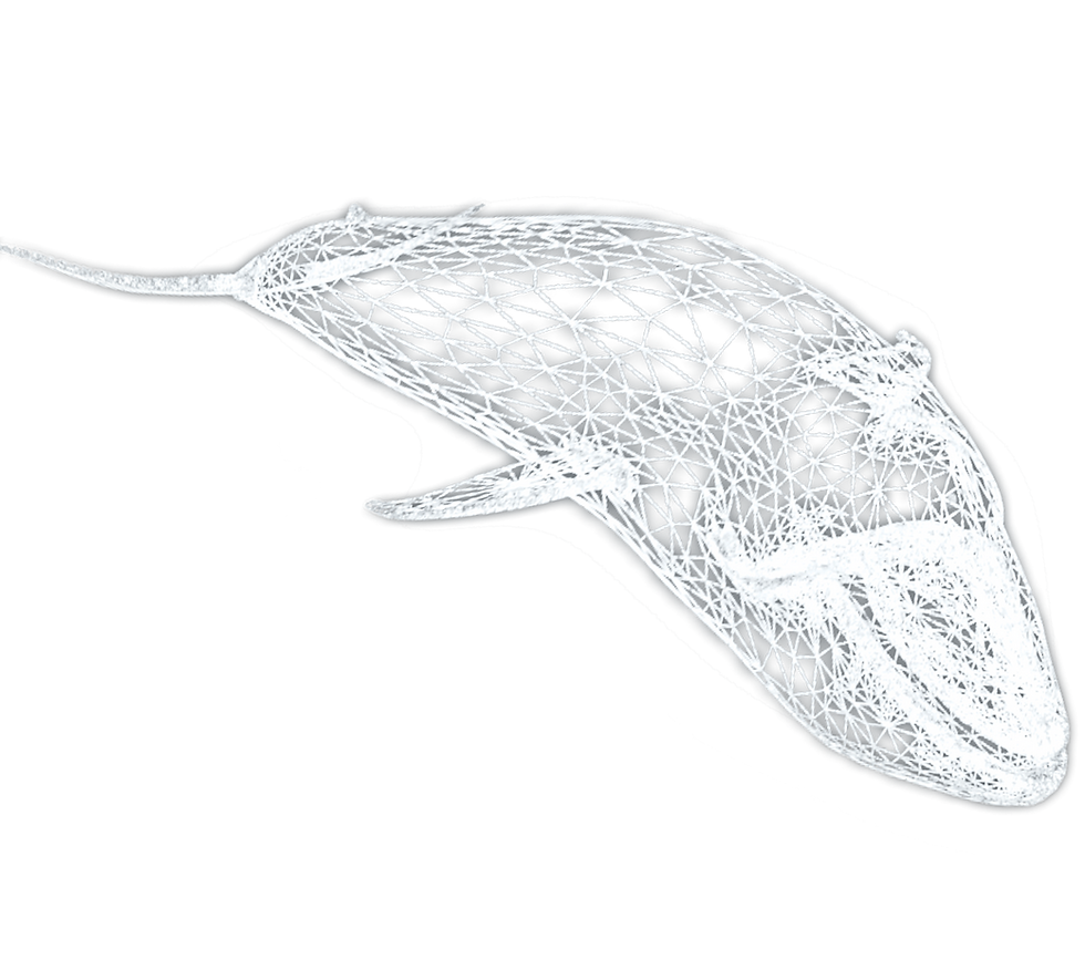 Пройти тест КИТ