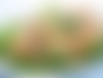 ก๋วยเตี๋ยวคั่วไก่