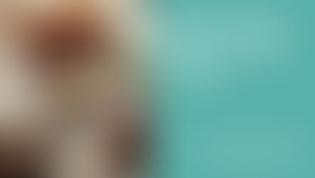 Holiday Foods and Pets Don't Mix