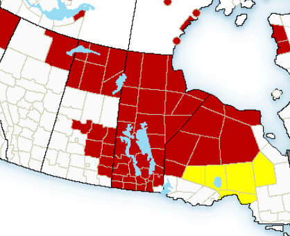 Extreme cold warnings issued for MB/SK; -40 to -45 wind chills expected