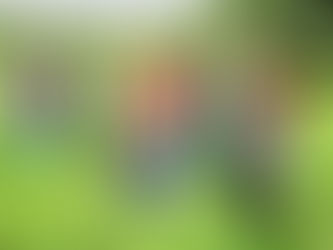 Grünlandexpert*innen machen Halt an unserem Fachbereich