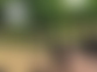 ボーイスカウト入隊・上進式に参加させていただきました。