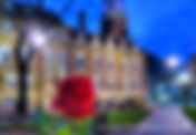 Red roses laid around the Fountain at the Town Hall in Leicester