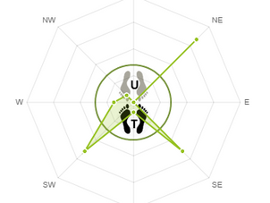 SETTING GOALS FOR NAGE WAZA