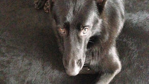 Construction of social reality or Social construction of reality