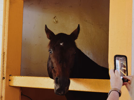 5 Reasons You Should Tour Claiborne Farm