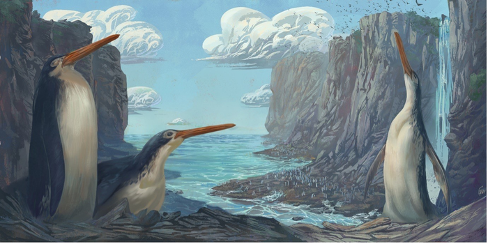 E se em uma excursão você descobrisse um fóssil de pinguim gigante? Veja o que aconteceu com crianças na Nova Zelândia content media