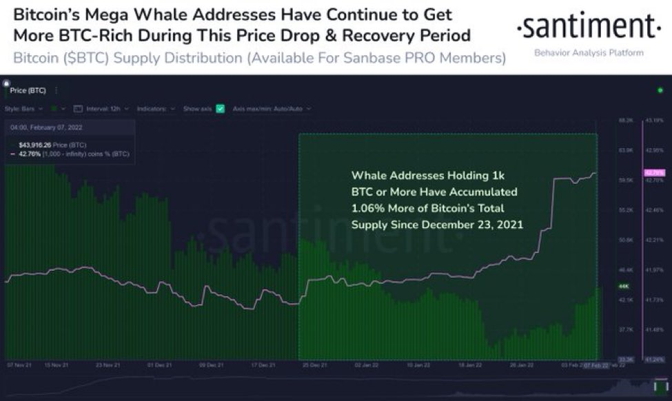 In addition to the drop in on-chain activity on USD Tether, large wallet investors saw a spike in Bitcoin accumulation. Mega whale addresses holding 1,000 or more Bitcoins have continued accumulation through recent Bitcoin bloodbaths.