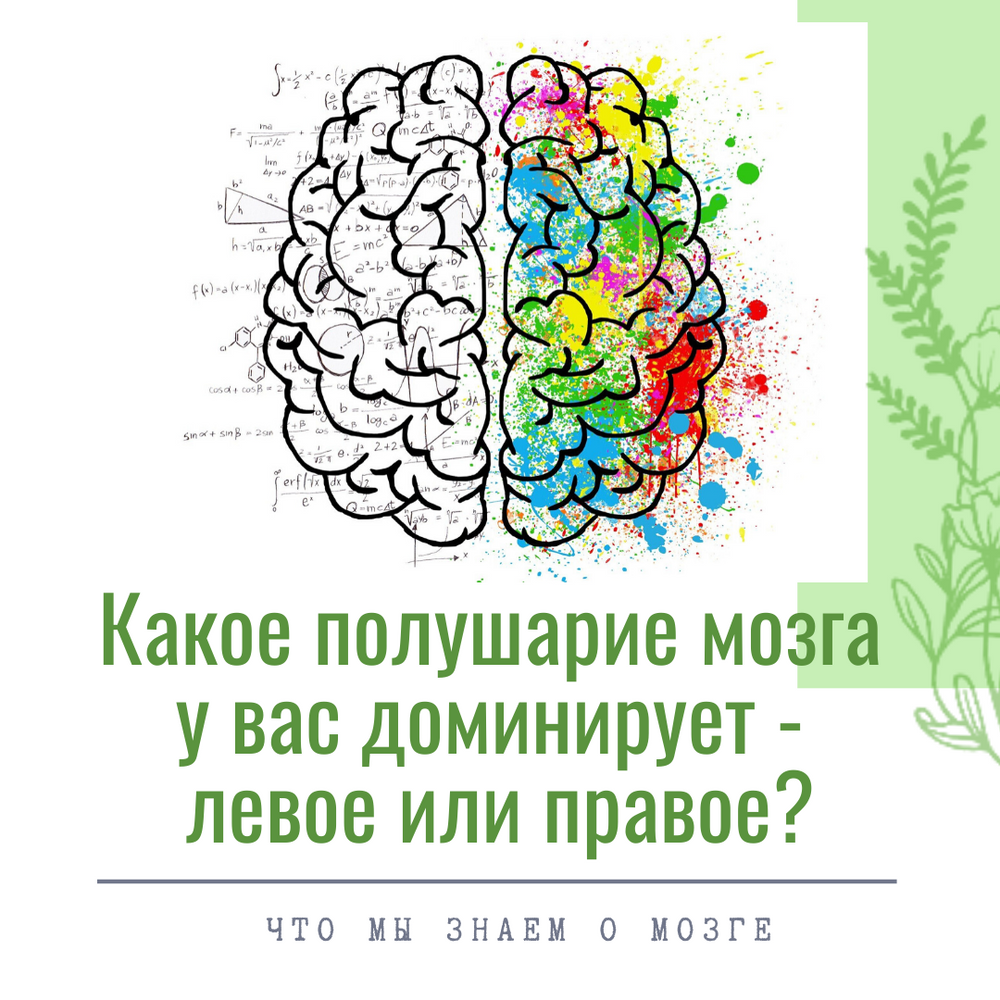 Тест на полушария мозга. Полушария мозга. Нейрофизиология мозга человека. Левое полушарие мозга. Доминантное полушарие.