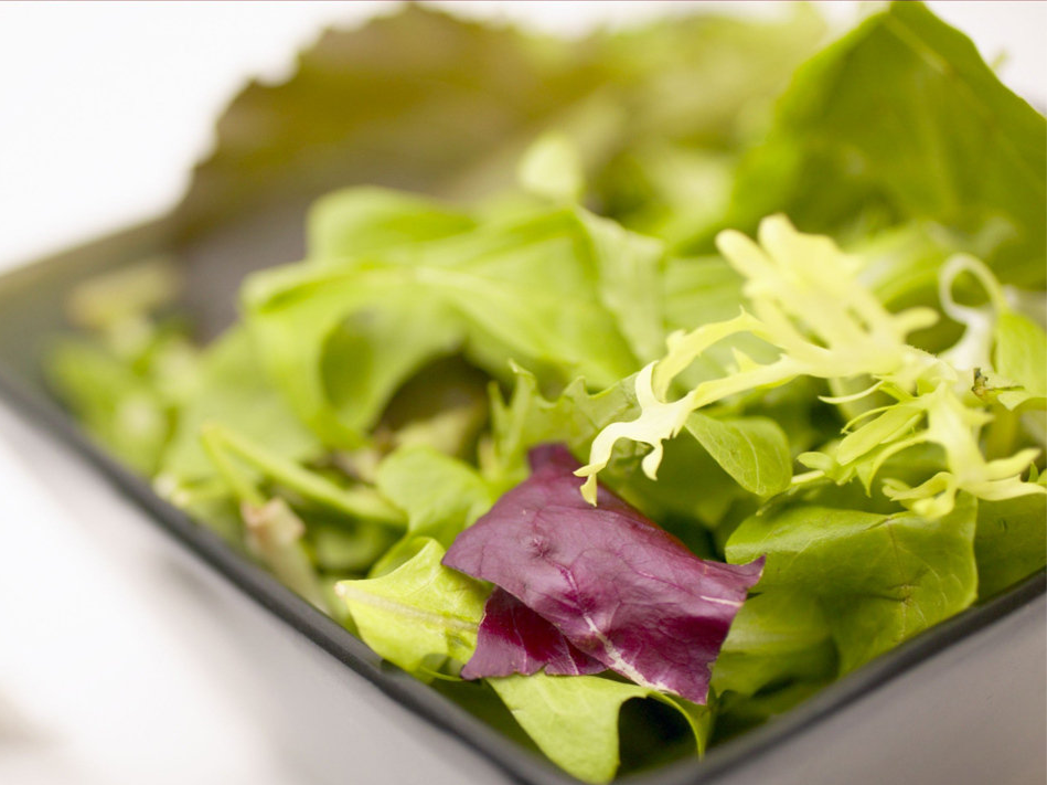 Fresh salad