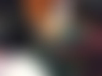 珍しいお客様!?~麻姑の小町伊島~