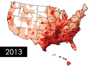 2013 map of US with incidents of heartworm shown
