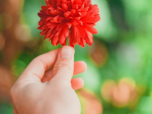 מתרחקים ממני