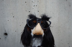 THE MASK OF YOUR PERSONALITY